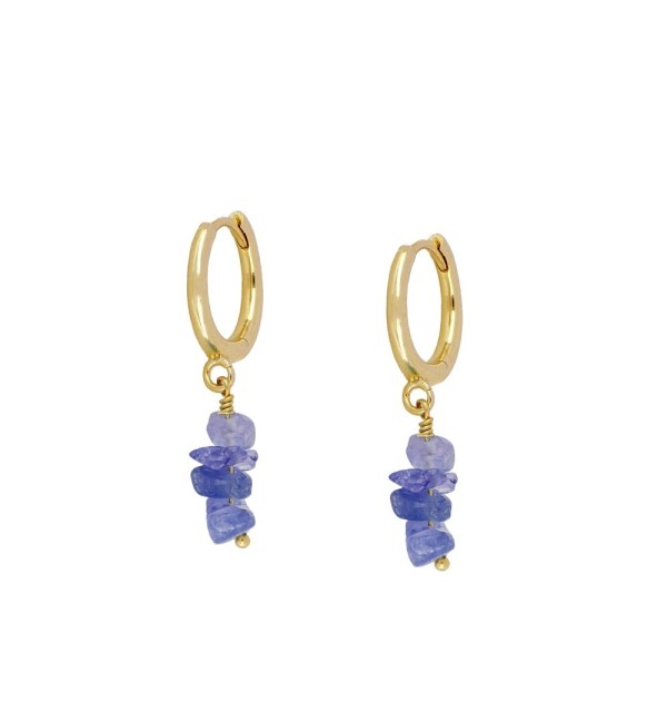 Earrings of ring of 11mm, 925 sterling silver, gold-plated.