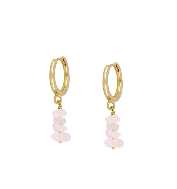 Earrings of ring of 11mm, 925 sterling silver, gold-plated