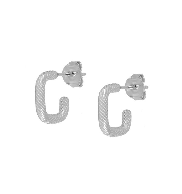 Pendientes  de plata 925 .