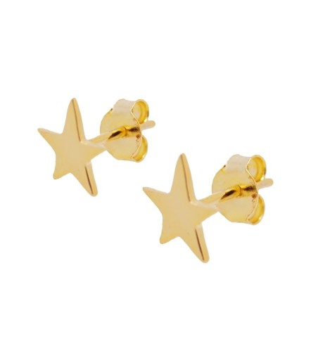 PE262 - Pendientes plata 925 y plata 925 bañada en oro