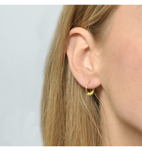 PE300 - Pendientes plata 925 y plata 925 bañada en oro